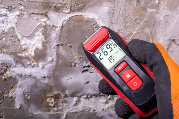 Best Residential Mold Removal  in Lely, FL