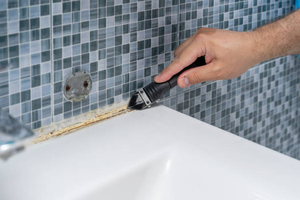 Best Best Mold Removal Companies  in Lely, FL