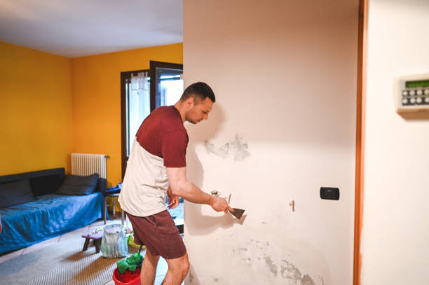 Office Mold Removal Services in Lely, FL